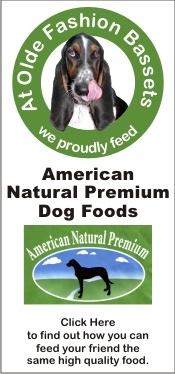 American Natural Premium dog food