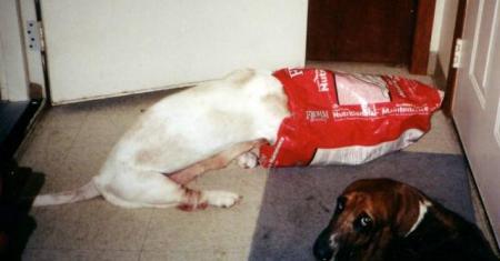 Angie at 13