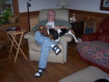 The Basset Sprawl