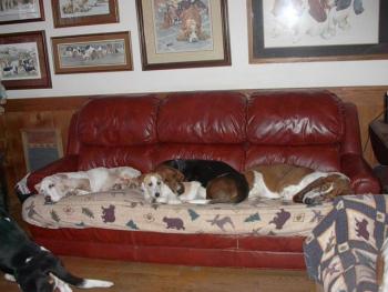 More lounging
