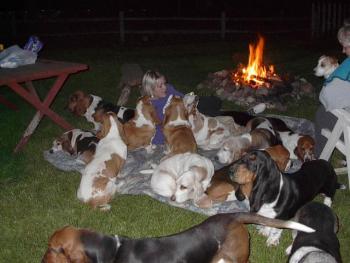 Campfire