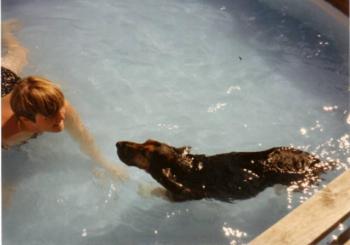 Hydro therapy