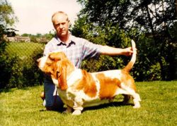 picture of dog